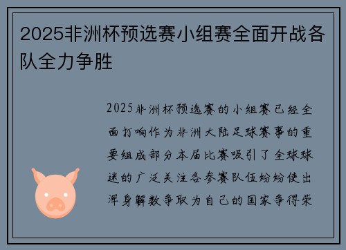 2025非洲杯预选赛小组赛全面开战各队全力争胜